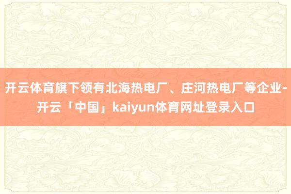开云体育旗下领有北海热电厂、庄河热电厂等企业-开云「中国」kaiyun体育网址登录入口