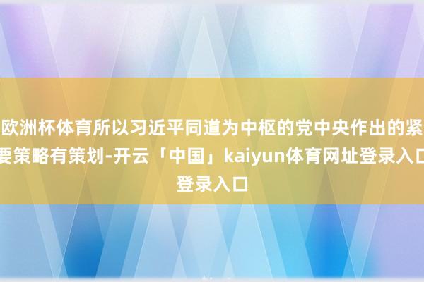 欧洲杯体育所以习近平同道为中枢的党中央作出的紧要策略有策划-开云「中国」kaiyun体育网址登录入口