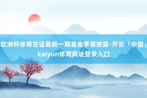 欧洲杯体育左证最新一期基金季报披露-开云「中国」kaiyun体育网址登录入口