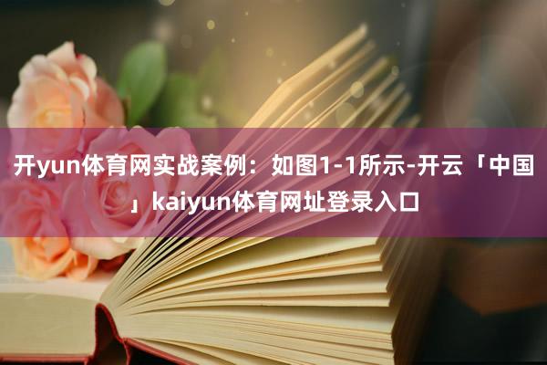 开yun体育网实战案例：如图1-1所示-开云「中国」kaiyun体育网址登录入口