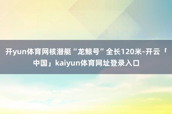 开yun体育网核潜艇“龙鲸号”全长120米-开云「中国」kaiyun体育网址登录入口