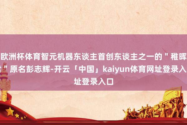 欧洲杯体育智元机器东谈主首创东谈主之一的＂稚晖君＂原名彭志辉-开云「中国」kaiyun体育网址登录入口