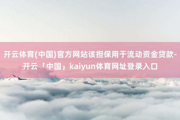 开云体育(中国)官方网站该担保用于流动资金贷款-开云「中国」kaiyun体育网址登录入口