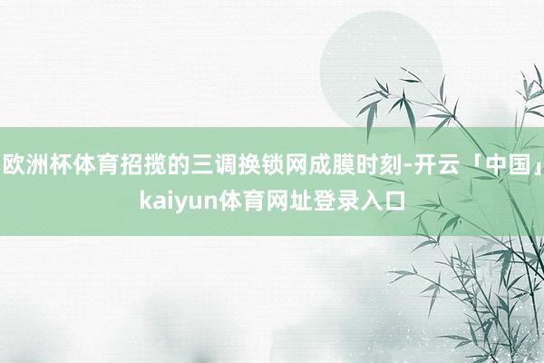 欧洲杯体育招揽的三调换锁网成膜时刻-开云「中国」kaiyun体育网址登录入口