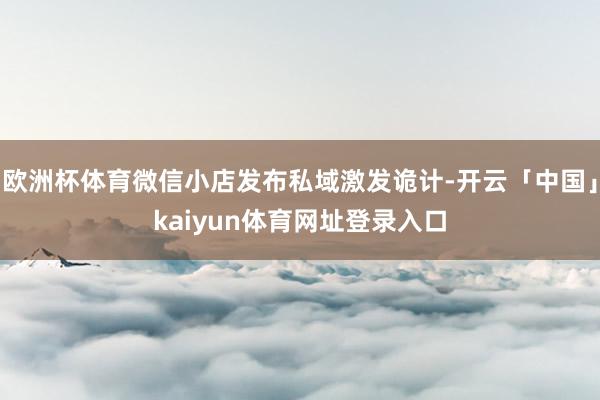 欧洲杯体育微信小店发布私域激发诡计-开云「中国」kaiyun体育网址登录入口