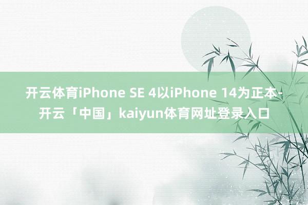 开云体育iPhone SE 4以iPhone 14为正本-开云「中国」kaiyun体育网址登录入口