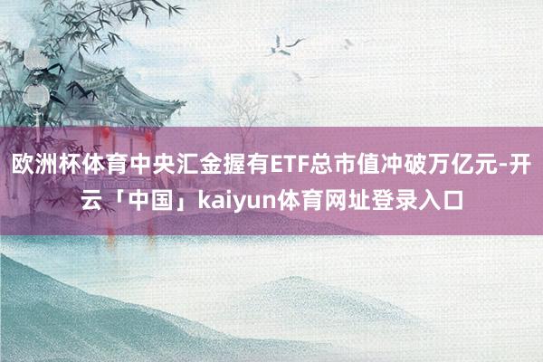 欧洲杯体育中央汇金握有ETF总市值冲破万亿元-开云「中国」kaiyun体育网址登录入口