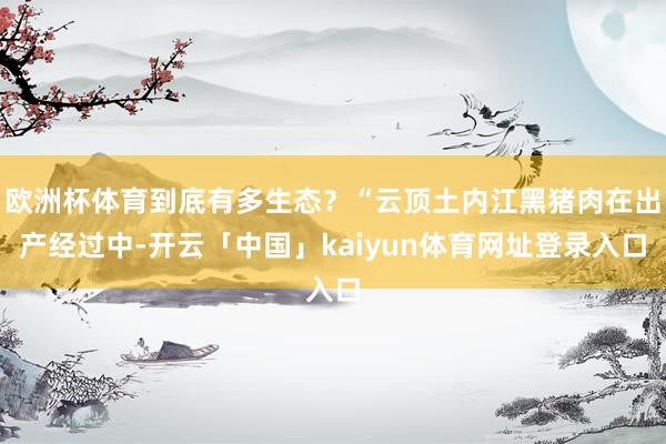 欧洲杯体育到底有多生态？“云顶土内江黑猪肉在出产经过中-开云「中国」kaiyun体育网址登录入口
