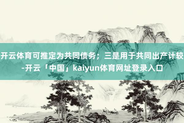 开云体育可推定为共同债务；三是用于共同出产计较-开云「中国」kaiyun体育网址登录入口